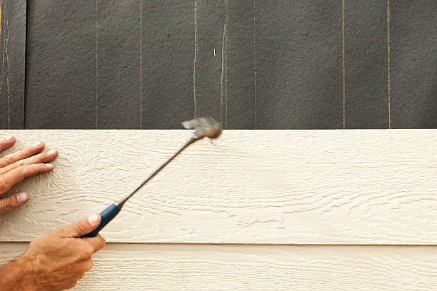 Best Steel Siding Installation  in Newtown, PA